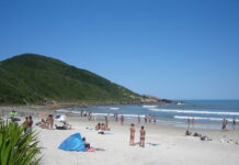 7 Mejores Playa de Santa Catarina que Debes Conocer Praia do Rosa
