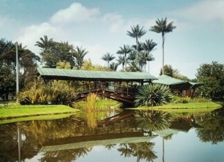 6 Mejores Atractivos Naturales de Bogotá Jardín Botánico de Bogotá