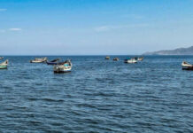 6 Mejores Atractivos Turísticos de Puerto Morín Caleta de Pescadores, Puert Morín
