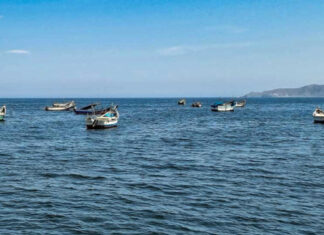 6 Mejores Atractivos Turísticos de Puerto Morín Caleta de Pescadores, Puert Morín