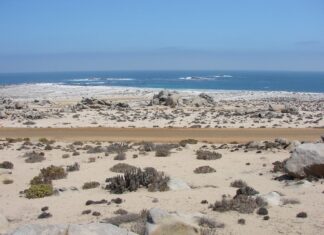 10 Mejores Atractivos Turísticos De Taltal Parque Nacional Llanos de Challe