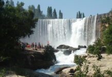 5 Mejores Lugares Turísticos de Alto Biobío Parque Nacional Laguna del Laja
