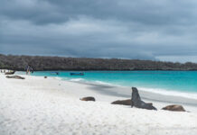 Mejores Playas de Las Islas Galápagos Gardner Bay