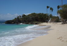 5 Mejores Lugares Turísticos de Isla del Rey Cayo Levantado