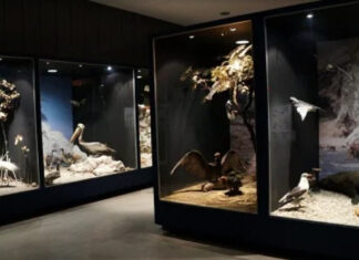 5 Mejores museos de Huancayo Museo de Arqueología Catalina Huanca