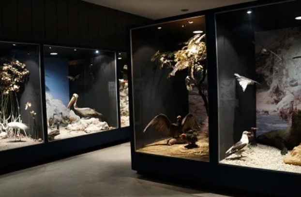 5 Mejores museos de Huancayo Museo de Arqueología Catalina Huanca