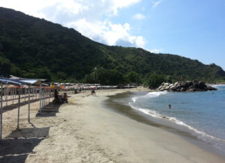 6 Mejores Playas Cerca de Caracas Playa Verde