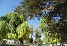 8 Mejores Lugares Turísticos de la Provincia de Abaroa Challapata