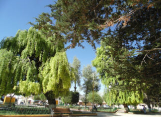 8 Mejores Lugares Turísticos de la Provincia de Abaroa Challapata