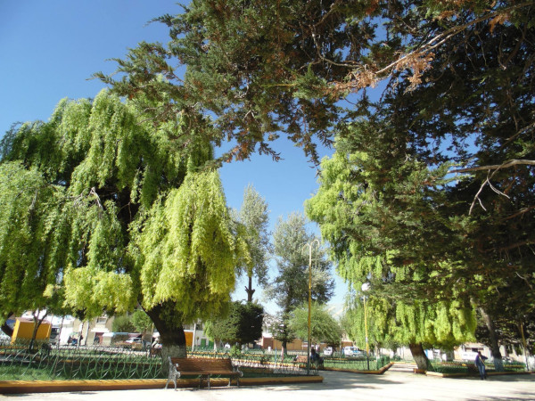 8 Mejores Lugares Turísticos de la Provincia de Abaroa Challapata