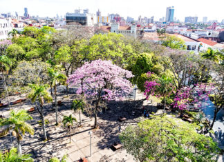 Cosas que ver y hacer en Santa Cruz de la Sierra Plaza 24 de Septiembre