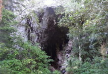 8 Mejores Lugares Turísticos de Monagas Cueva del Guácharo