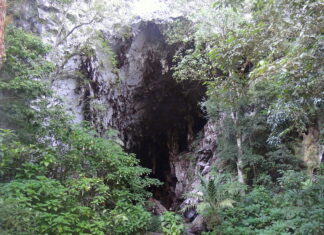 8 Mejores Lugares Turísticos de Monagas Cueva del Guácharo