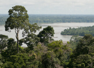 11 Mejores Atractivos Naturales de la Amazonía ecuatoriana Parque Nacional Yasuní