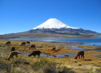Mejores Atractivos Turisticos de Parinacota Volcán Parinacota