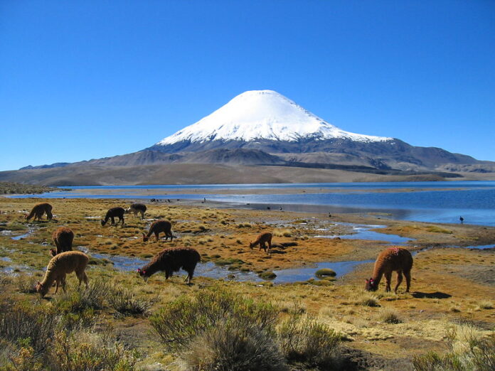 Mejores Atractivos Turisticos de Parinacota Volcán Parinacota