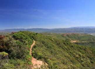6 Atractivos naturales más destacados de Santa Cruz Parque Nacional Amboró