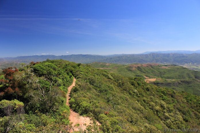 6 Atractivos naturales más destacados de Santa Cruz Parque Nacional Amboró