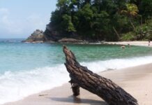 5 Mejores Playas de Atlántida Punta Sal