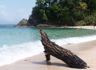 5 Mejores Playas de Atlántida Punta Sal