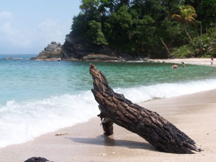 7 Mejores Playas de Atlántida Punta Sal