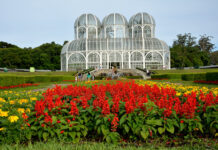 Cosas que Ver y Hacer en Curitiba Jardín Botánico