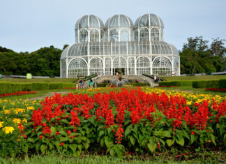 Cosas que Ver y Hacer en Curitiba Jardín Botánico