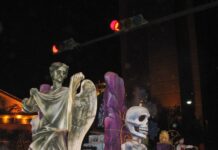 5 Mejores ciudades para celebrar el Halloween en Estados Unidos Krewe of BOO
