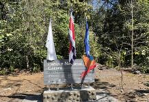 9 Mejores atractivos turísticos de Puntarenas Parque Nacional Carara