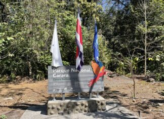 9 Mejores atractivos turísticos de Puntarenas Parque Nacional Carara