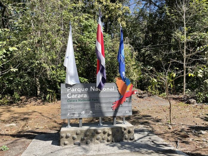 9 Mejores atractivos turísticos de Puntarenas Parque Nacional Carara